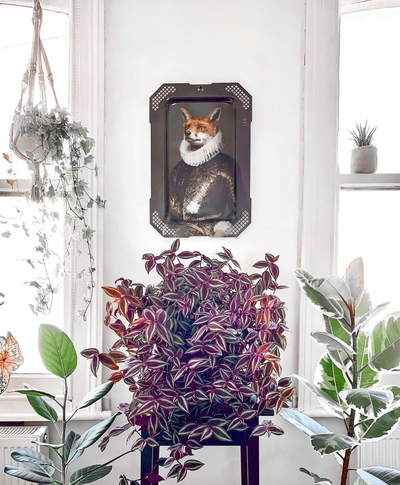Plantastic Mr. Fox| #PlantFluencer of the Week| Sharing all Things Plant Care & Decor