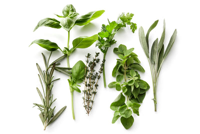 Horticultural therapy - Healing With Herbs; Standing With Nature