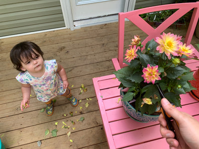 Teach Your Children: Gardening and Kids